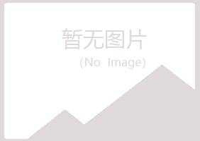 沅江夏岚咨询有限公司